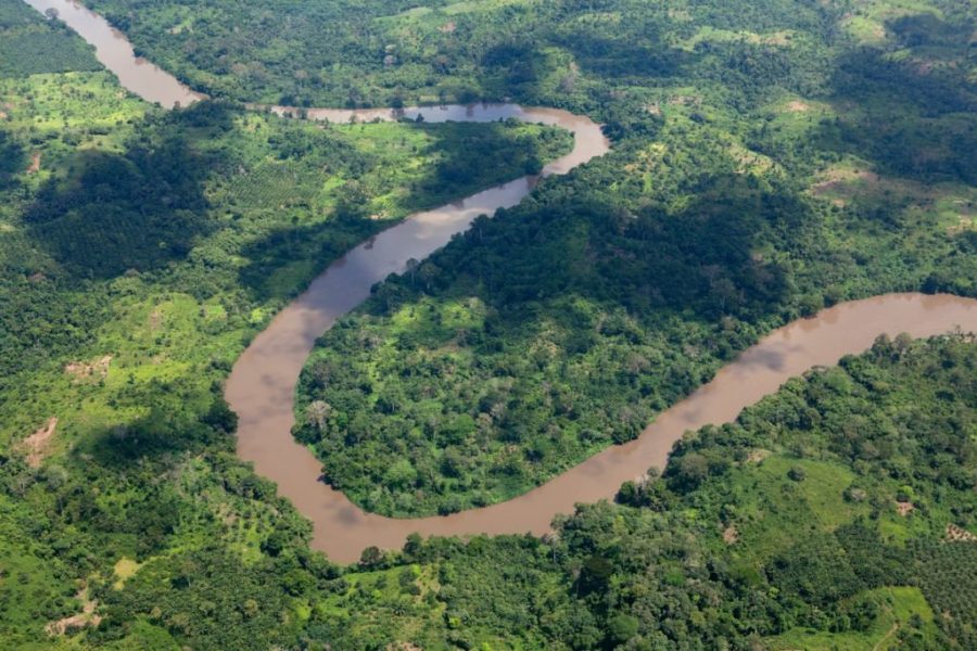 Largest Forests (Congo Rainforest)