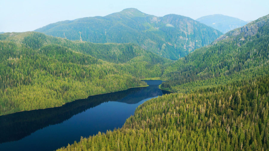 Largest Forests (Tongass Forest)