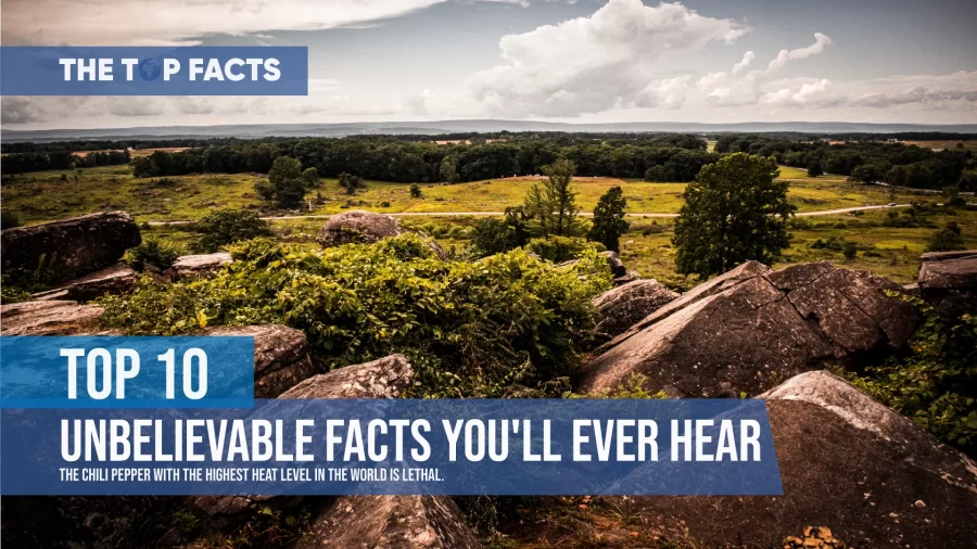 Top 10 Unbelievable Facts You'll Ever Hear