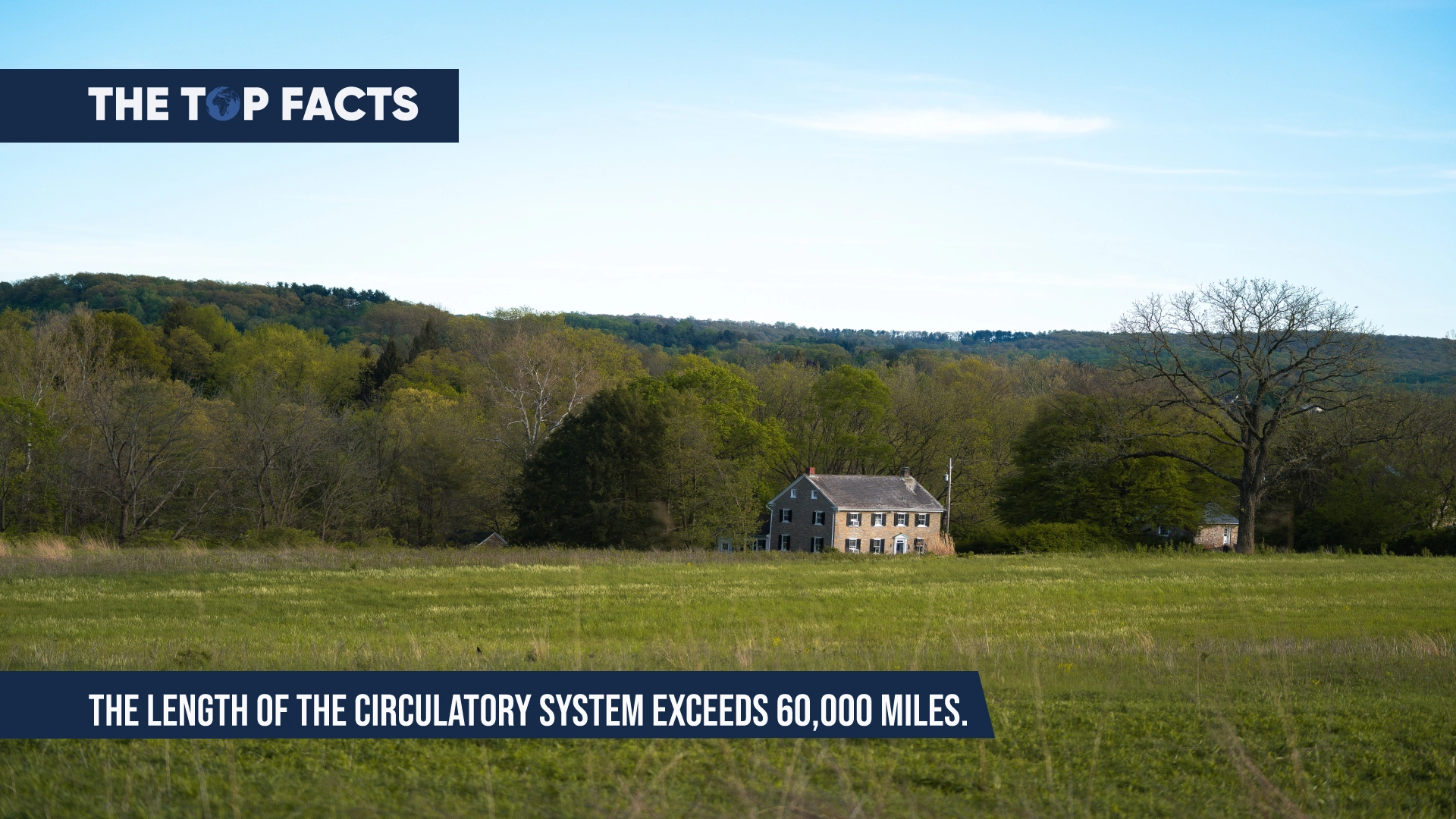 Unknown Facts: The length of the circulatory system exceeds 60,000 miles