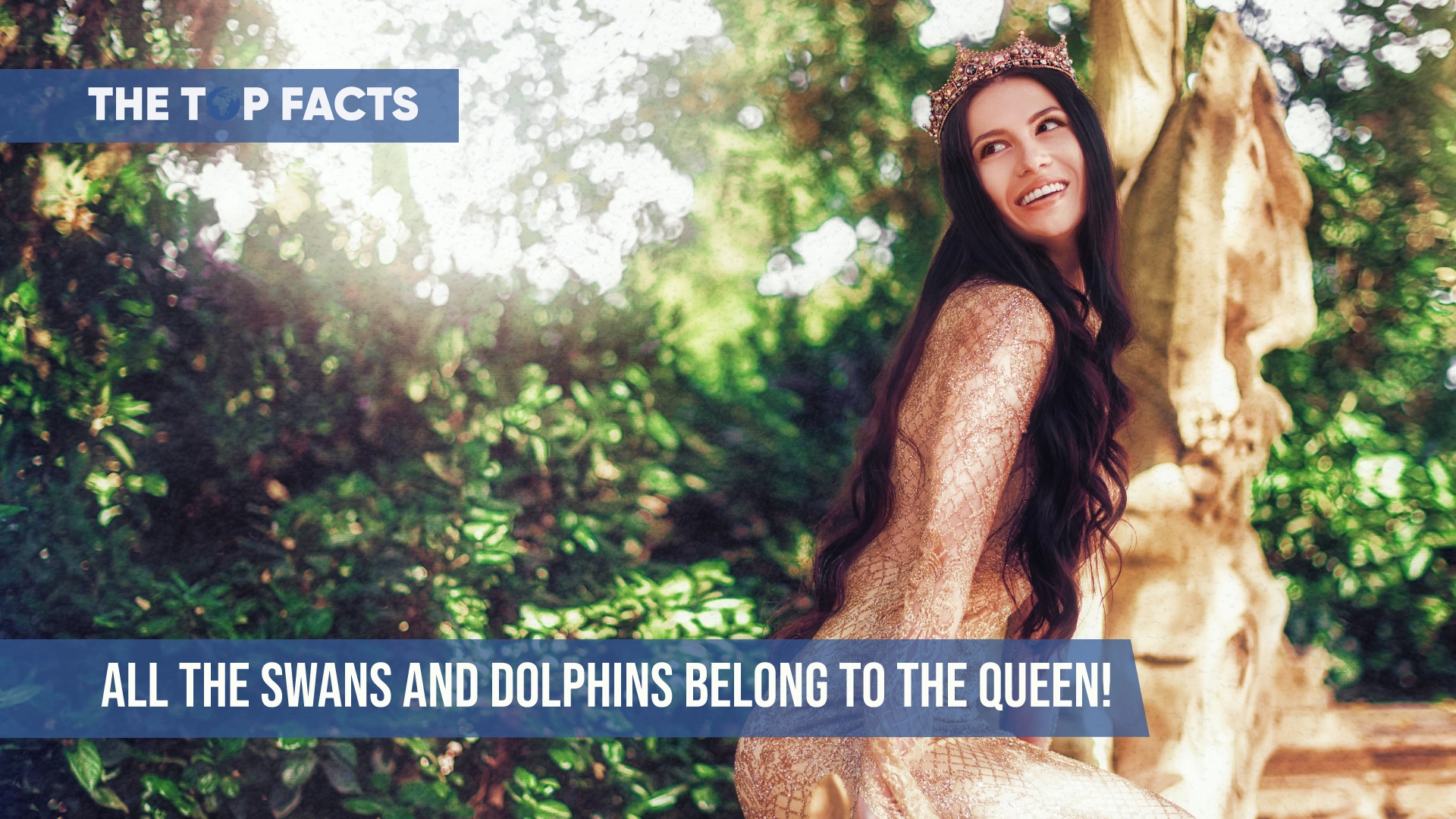 All the swans and dolphins belong to the Queen!