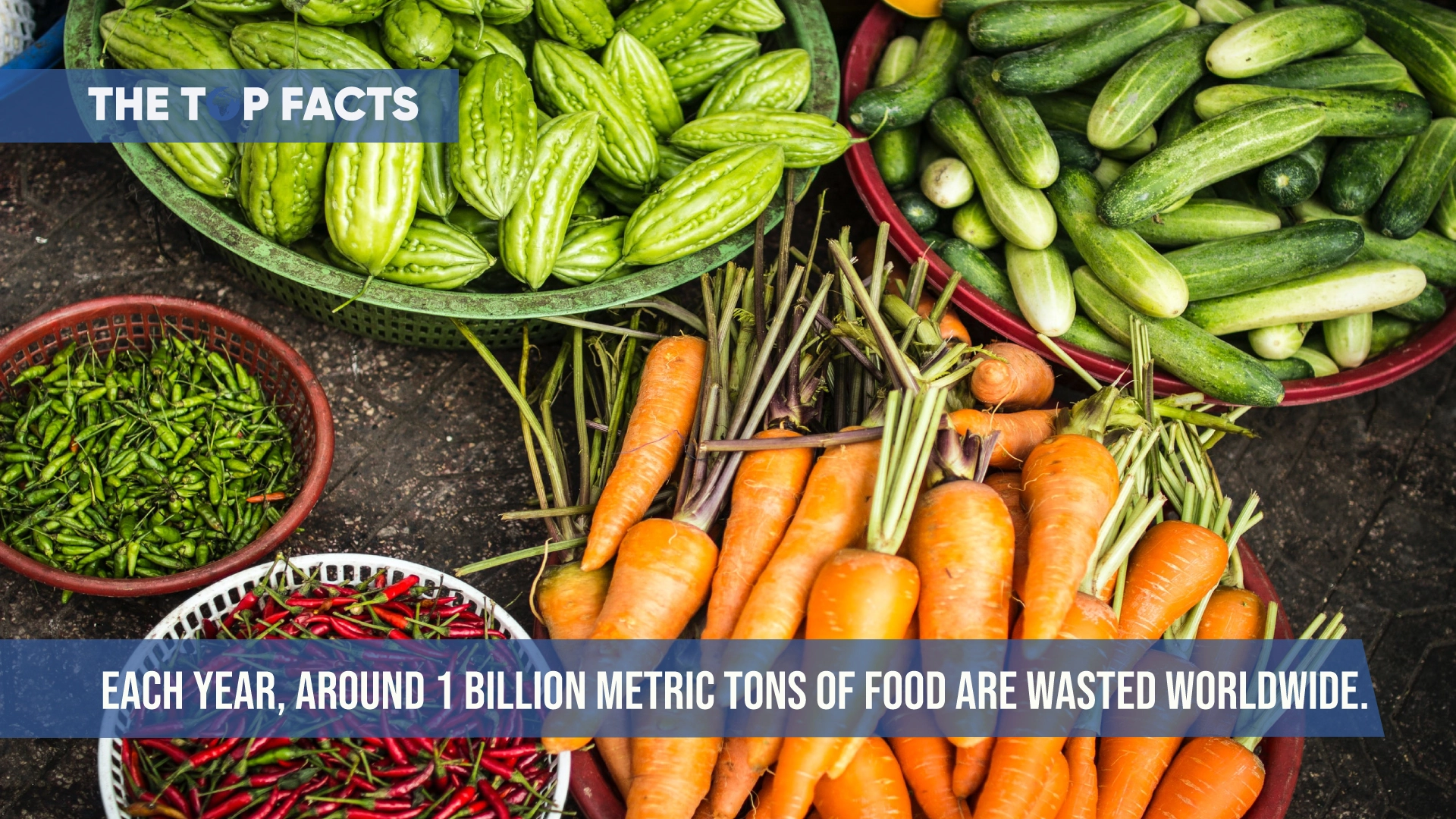 Each year, around 1 billion metric tons of food are wasted worldwide