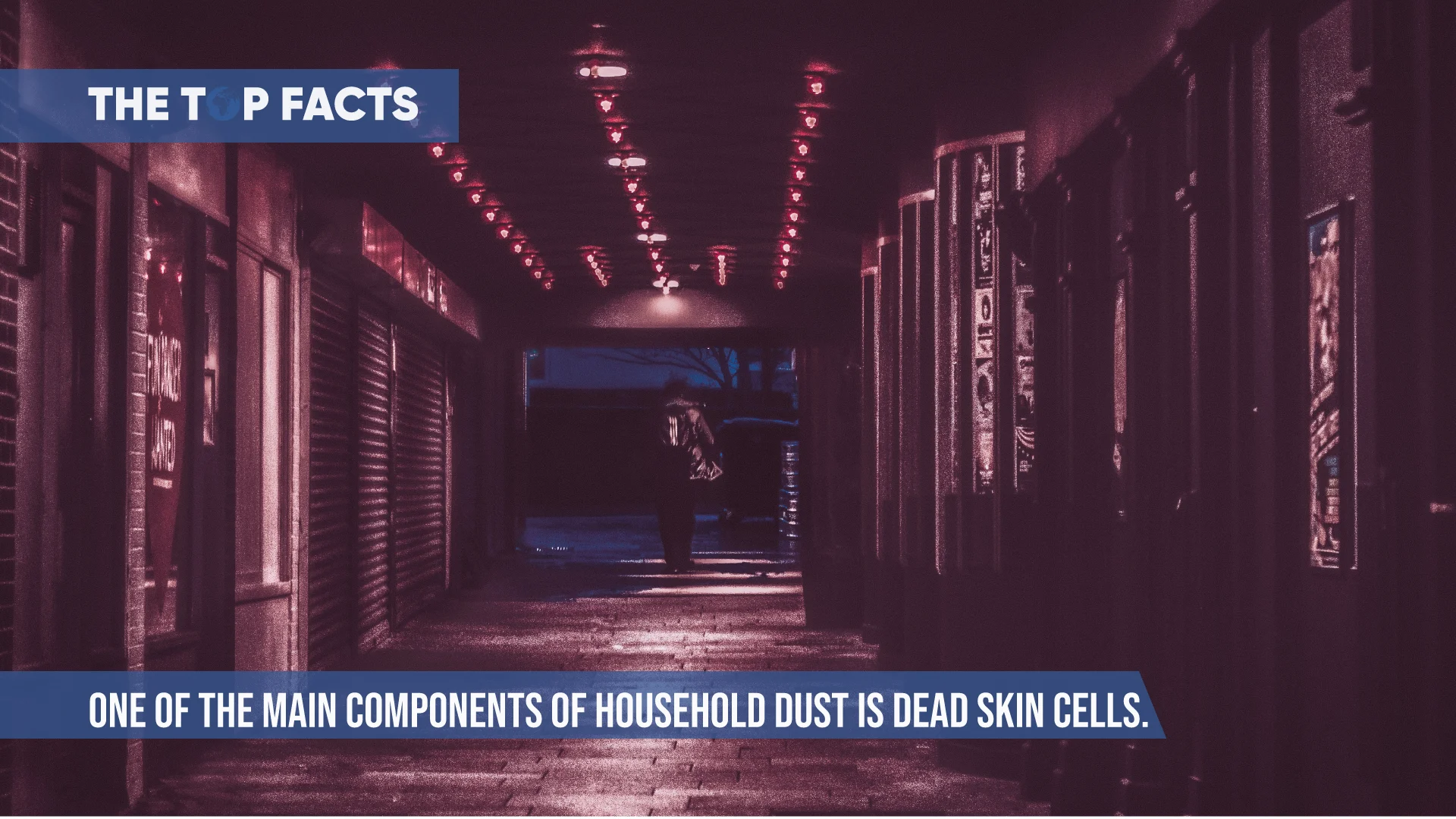 ne Of The Main Components Of Household Dust Is Dead Skin Cells