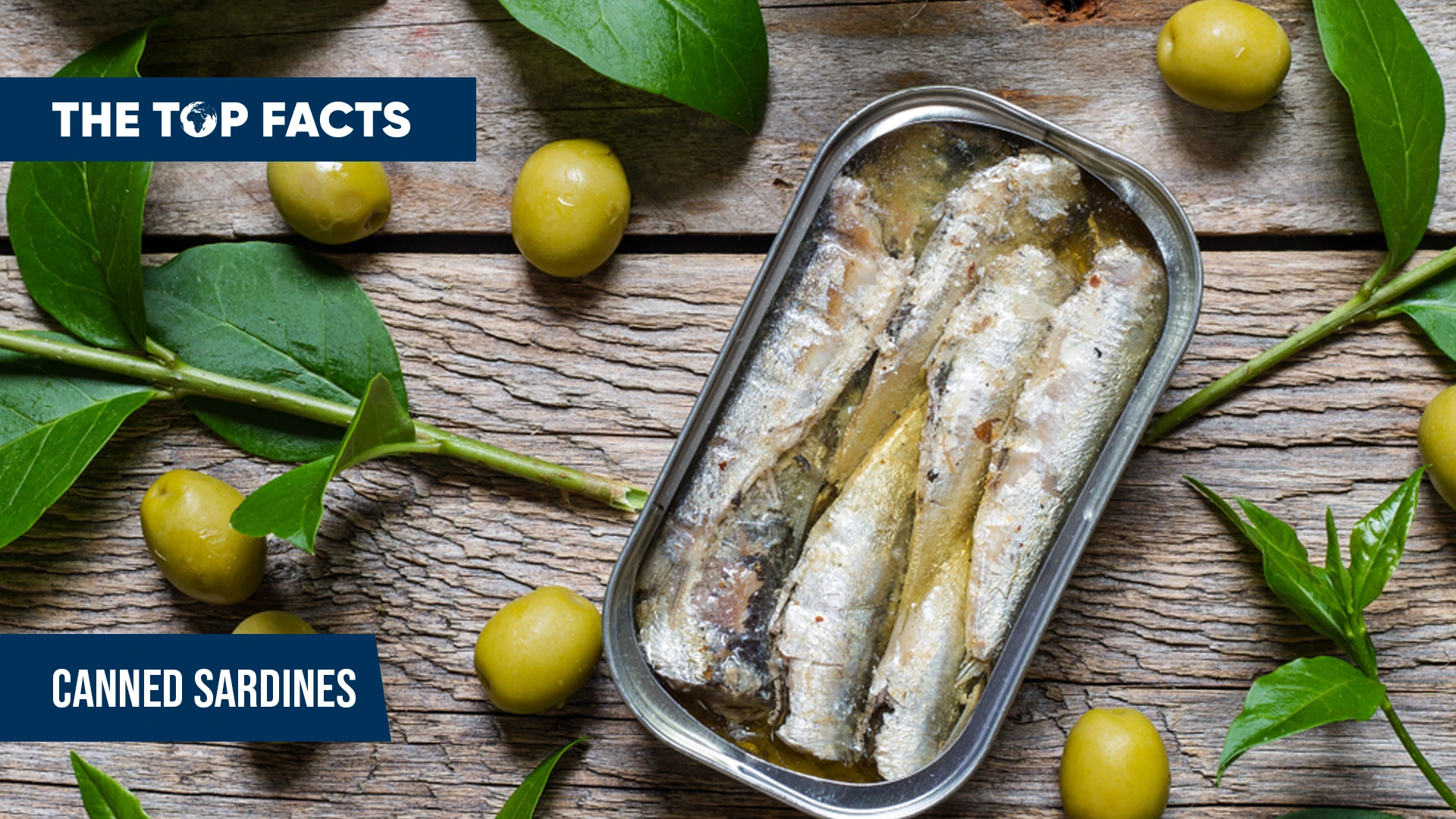 Sustainable Seafood in a Convenient Can - Canned Sardines